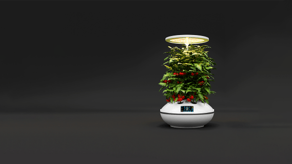 smart garden with agro2